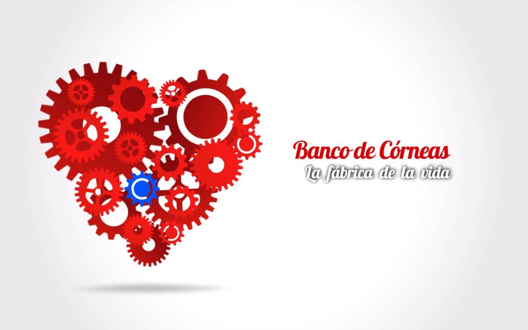 Centre de Transfusió Comunitat Valenciana – Banco de Córneas